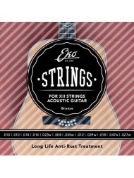 Eko Acoustic Bronze 12 cordes ACB1047L-12 light