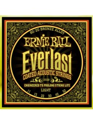 Ernie Ball Everlast 2558 light