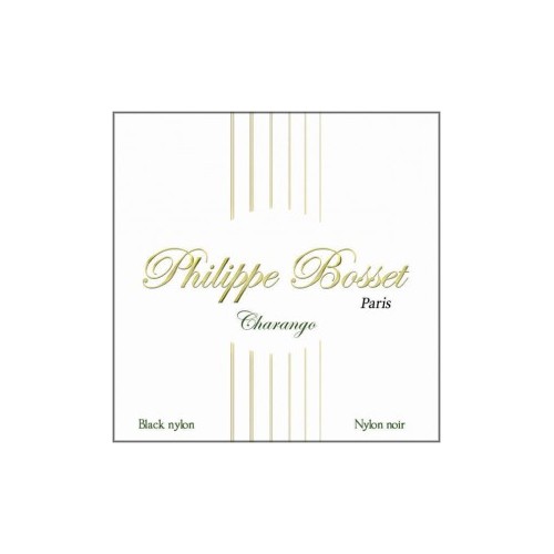 Philippe bosset charango