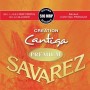 Savarez Creation Cantiga Premium 510MRP tension normale