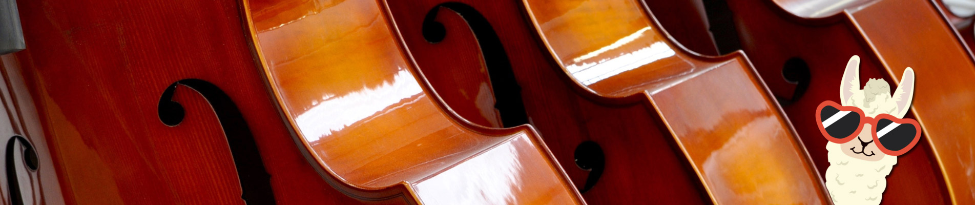 Changement des cordes violoncelle