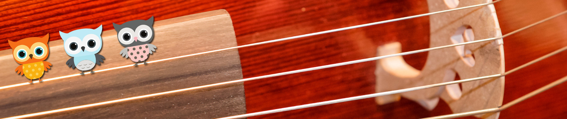 Choisir ses cordes de violoncelle