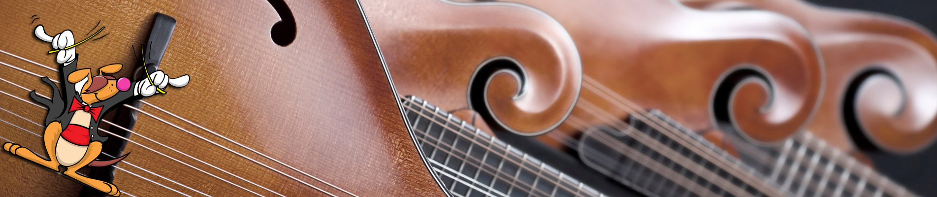 Matériaux des cordes de mandoline